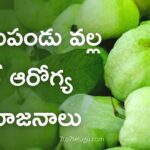 Health-Benefits-of-eating-guavas-in-telugu