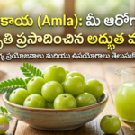 Amla benefits for health and wellness in telugu