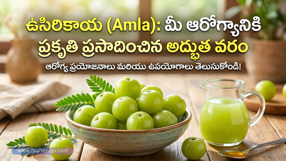Amla benefits for health and wellness in telugu